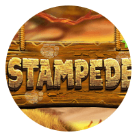 Stampede