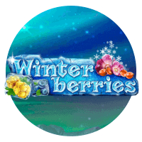 Winter Berries